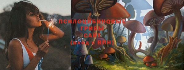 марки nbome Козловка