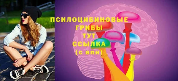 экстази Щигры