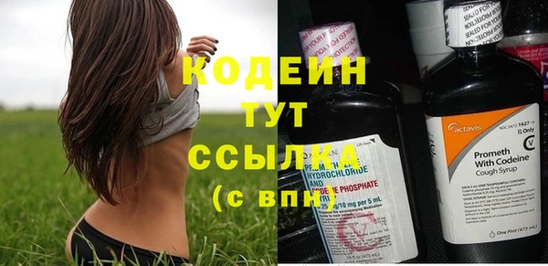 трава Киренск