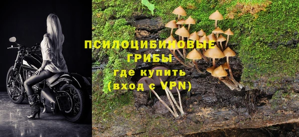 мескалин Козельск
