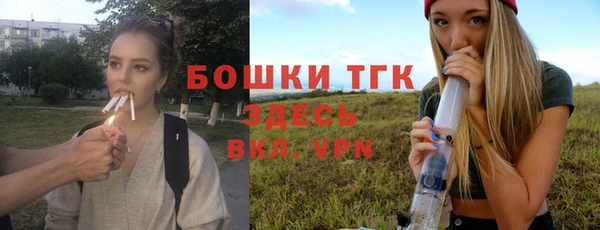 экстази Щигры